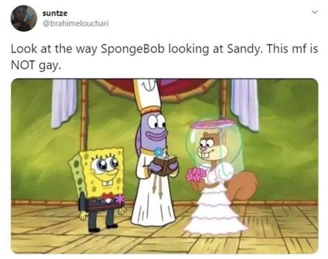 17 Hilarious Gay SpongeBob Memes The Funny Beaver