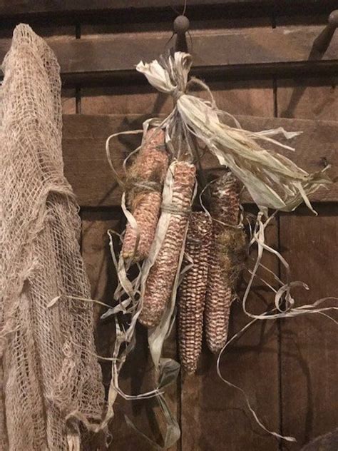 Primitive Dried Corn Corn Cobs Early Look Peg Hanger Homestead Fall