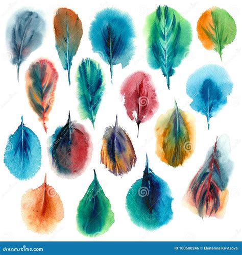 Watercolor Set of Colorful Feathers. Stock Illustration - Illustration ...