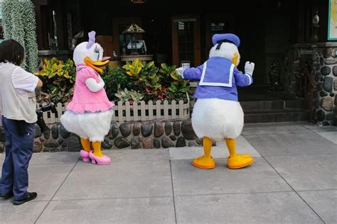 Meet Donald and Daisy Duck at Disney World