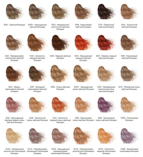 Краска для волос Erayba Gamma Color – идеальное окрашивание