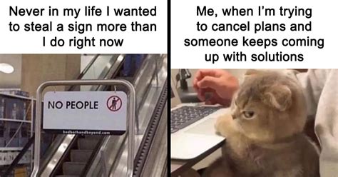 “introvert Memes” 50 Of The Funniest Jokes That Sum Up Life As An