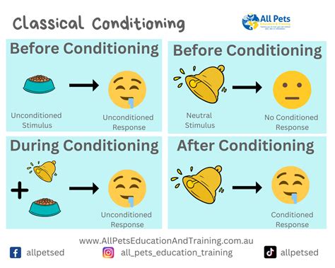 Classical Conditioning Examples In Cats at Billy Turner blog