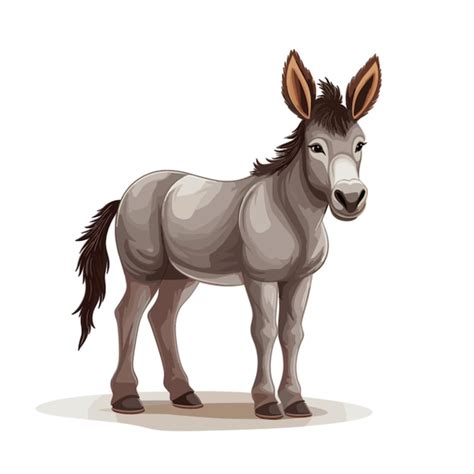 Vector De Burro Sobre Fondo Blanco Vector Premium