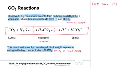 Gas Transport Carbon Dioxide Flashcards Quizlet