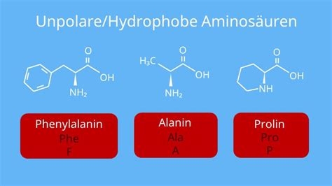 Aminos Uren Aufbau Grundstruktur Und Strukturformel Mit Video