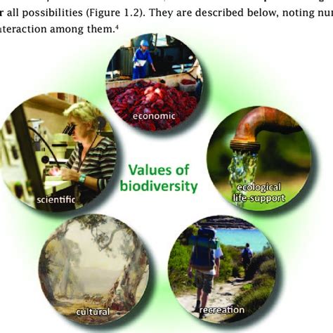 Pdf What Is Biodiversity And Why Is It Important