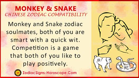 Monkey and Snake Compatibility: Zodiac Traits and Love Compatibility