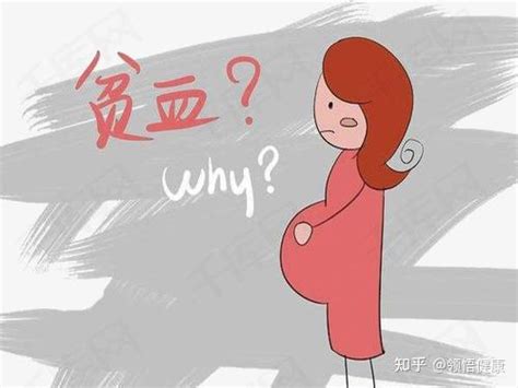 怀孕中期饮食要注意什么？ 知乎