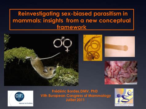 Ppt Reinvestigating Sex Biased Parasitism In Mammals Insights From A