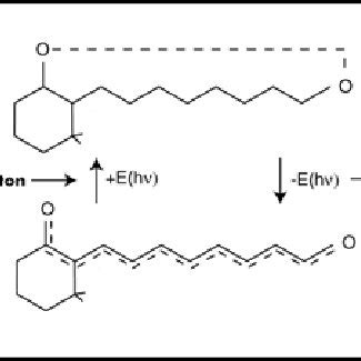 Figure A.1.1-1 The mechanism of photoexcitation/deexcitation ...