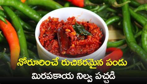 Pandu Mirapakaya Pachadi Recipe నోరూరించే రుచికరమైన పండు మిరపకాయ నిల్వ