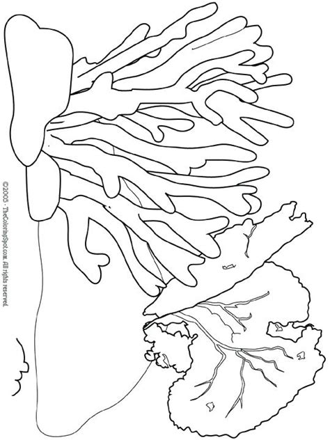 Underwater Plants Coloring Pages At Getcolorings Free Printable