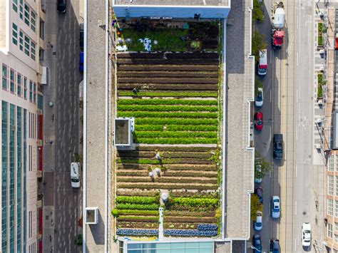 How The Ryerson Community Is Shaping Urban Agriculture Research And