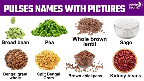 List Of All Types Of Pulses Name In English And Hindi With Pictures