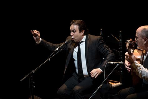 José Anillo Premio Nacional de Cante 2016 cordobaflamenca