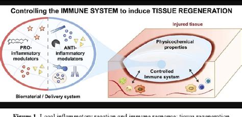 Figure 1 From Neuroinflammation As Part Of A Possible Neuro