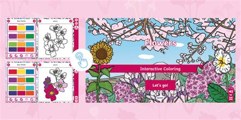 Flowers Interactive Coloring Hecho Por Educadores Twinkl