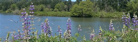 Springwater Corridor Trail: 179 Reviews, Map - Oregon | AllTrails