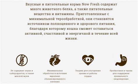 Корм для кошек NOW FRESH (Нау Фреш): отзывы, линейки, состав, для котят ...