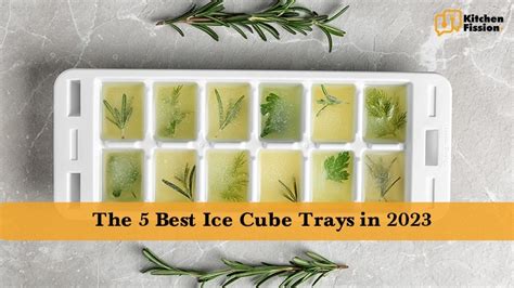 The 5 Best Ice Cube Trays in 2023