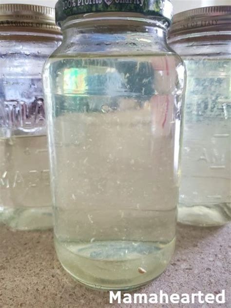 Homemade Lemon Vinegar Cleaner Mamahearted