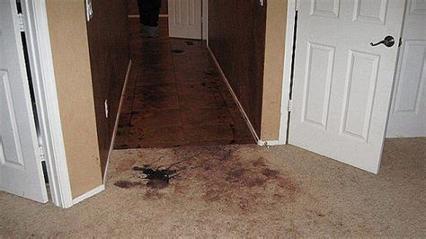 Crime Scene Photos: The Jodi Arias Case Revisited - r1d9mi4