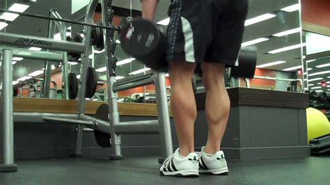 Stiff Legged Dumbbell Deadlifts Youtube