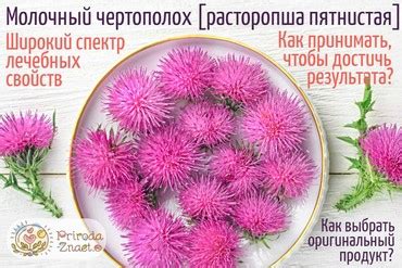 Чаванпраш: что это такое, состав и полезные свойства индийского ...