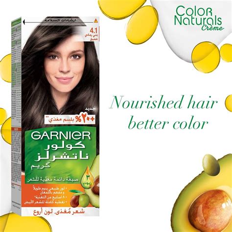 Garnier Hair Color Naturals Creme Dye Brown Grey