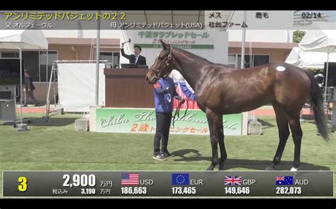 海外の反応 「さらに日本の血統が必要」オルフェーヴル産駒を米大物馬主が落札！ 競馬