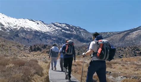 The 4 Mythical Hiking Trails of the North Island, New Zealand