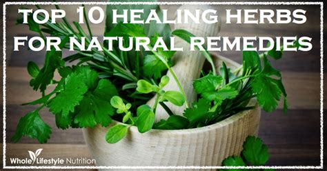 Top 10 Healing Herbs For Natural Remedies - Whole Lifestyle Nutrition