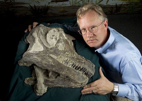 Cientistas Encontram Quatro Cr Nios De Dinossauro Gigante Desconhecido