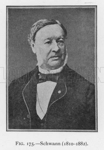 Theodor Schwann Portrait Stock Image Look And Learn