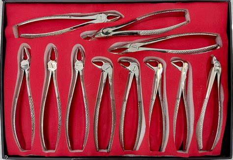 EXTRACTING FORCEPS (English pattern) | Paytekht Company