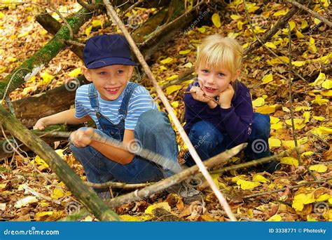 Twee Blonde Jonge Geitjes In Bos Stock Afbeelding Image Of Pret Gebladerte 3338771