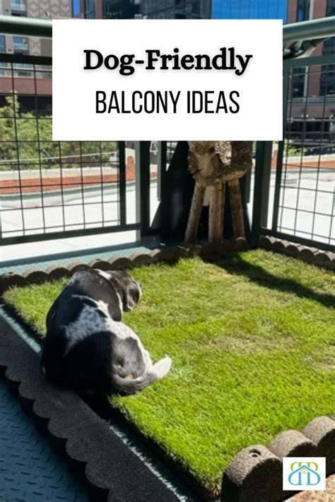 Creative Balcony Ideas for Dog Owners in 2024 | Balcony for dogs, Dog ...