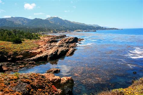 Top 7 Attractions on the Monterey Peninsula|Luxury Travel Blog