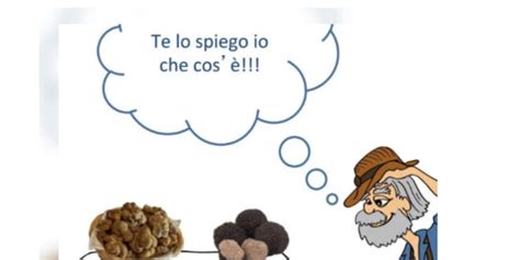 Sessa Aurunca La Regione Finanzia Il Turismo Del Tartufo Che Non C