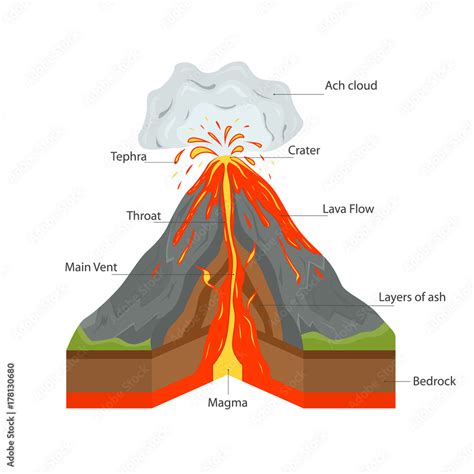 Volcano Cross Section View. Vector Stock Vector | Adobe Stock