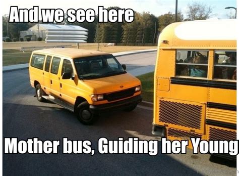 15 Most Awesome Bus Memes