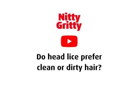 do head lice like clean hair or dirty