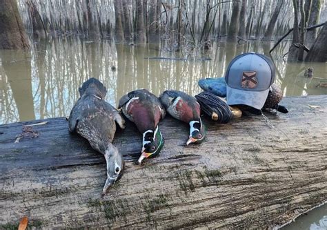 Wood Duck Hunting - The Complete Guide