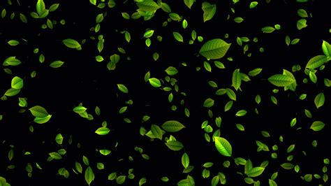 Beautiful Loop Animation With Leaves Green Leaves Falling Animation In