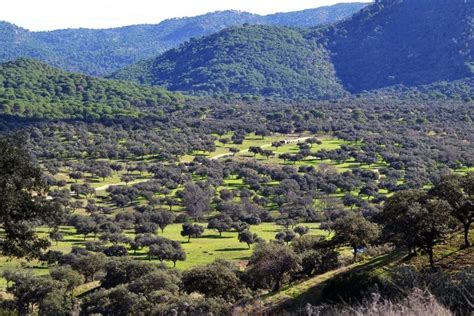 Parque Natural Sierra De And Jar