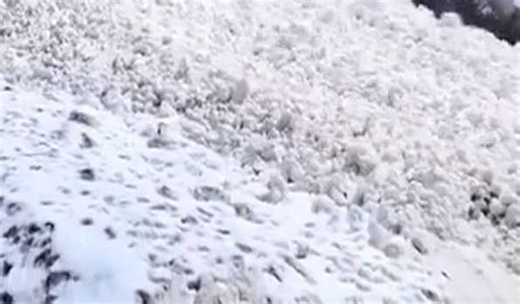 Snow Avalanche Hit Two Vehicles At Zojila Pass Passengers Rescued