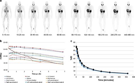 Maximum Intensity Projections MIP Of Ten Serially Performed