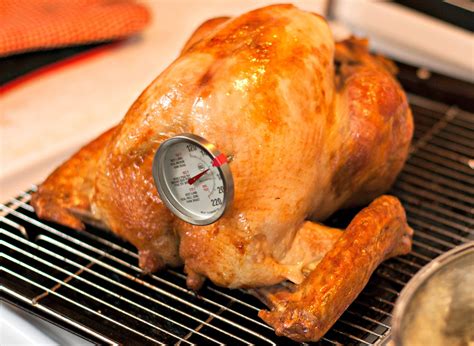 Roasting A Turkey Requires Some TLC | WisContext