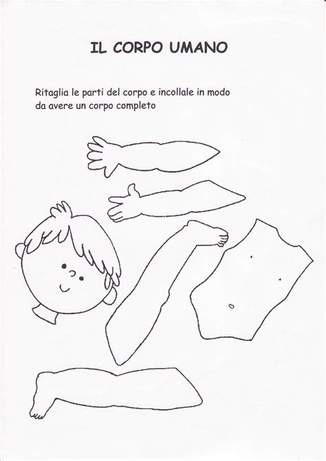 Disegni Corpo Umano Disegni Per Bambini Da Stampare E Colorare By